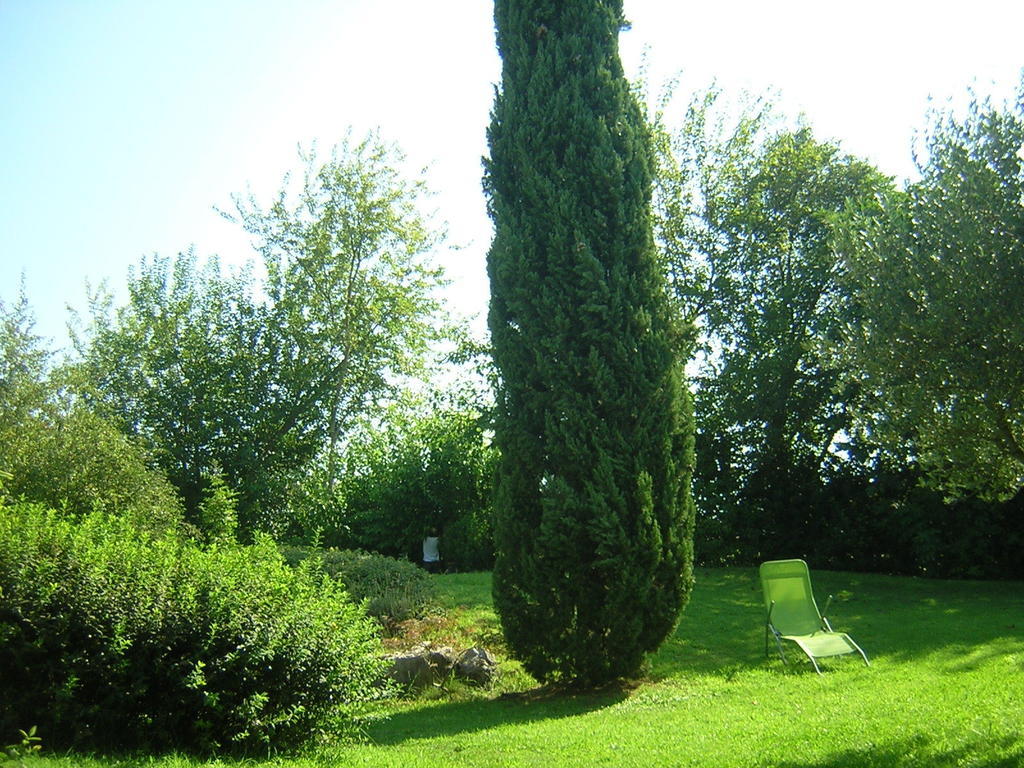 Agriturismo Trebisonda Country Resort Monzambano Bagian luar foto