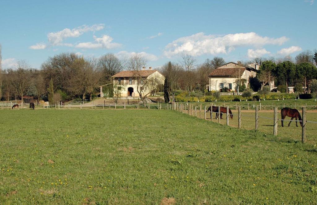 Agriturismo Trebisonda Country Resort Monzambano Bagian luar foto