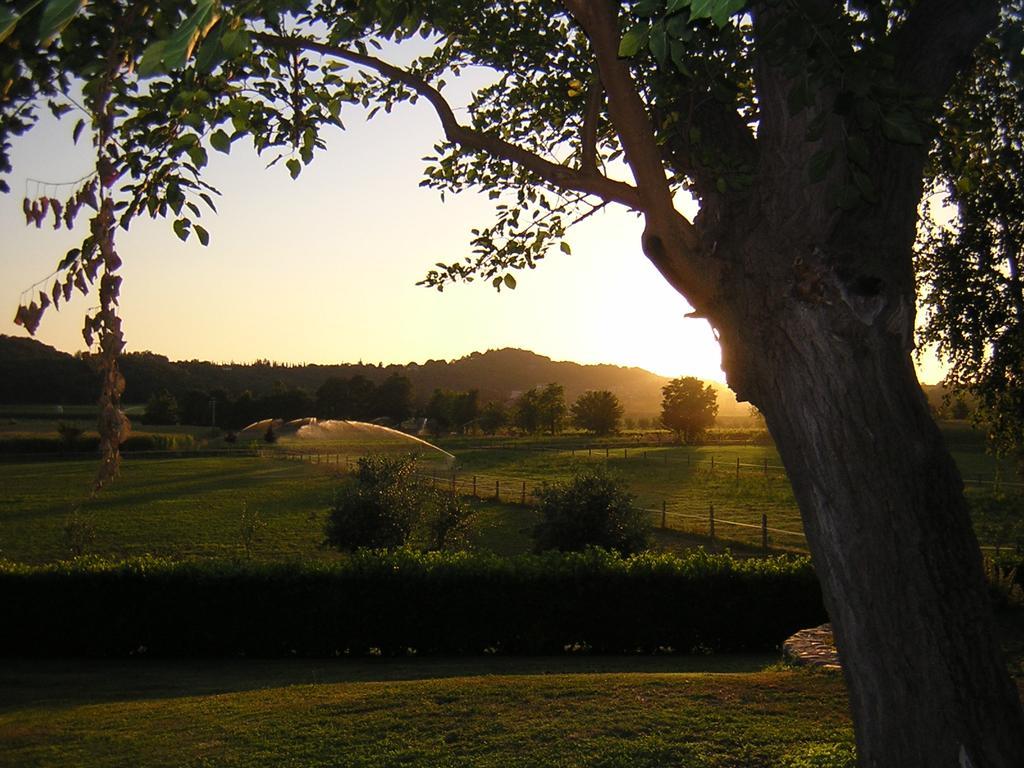 Agriturismo Trebisonda Country Resort Monzambano Bagian luar foto